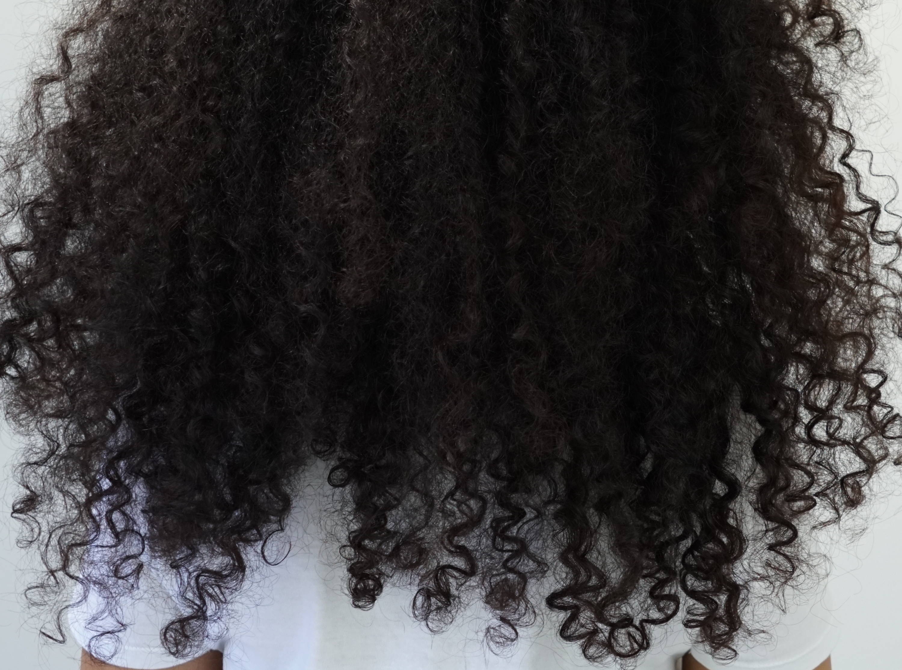 How To Treat Extremely Dry And Damaged Curly Hair LUS Brands how-to-treat-extremely-dry-and-damaged-curly-hair-lus-brands