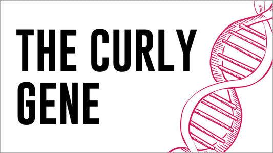 What Makes Curly Hair Curly?