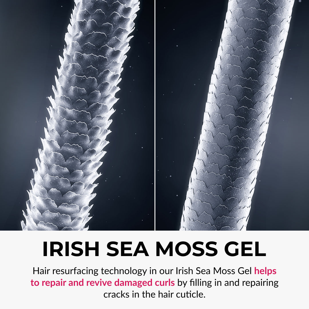 Ultra-Defining Curl Kit