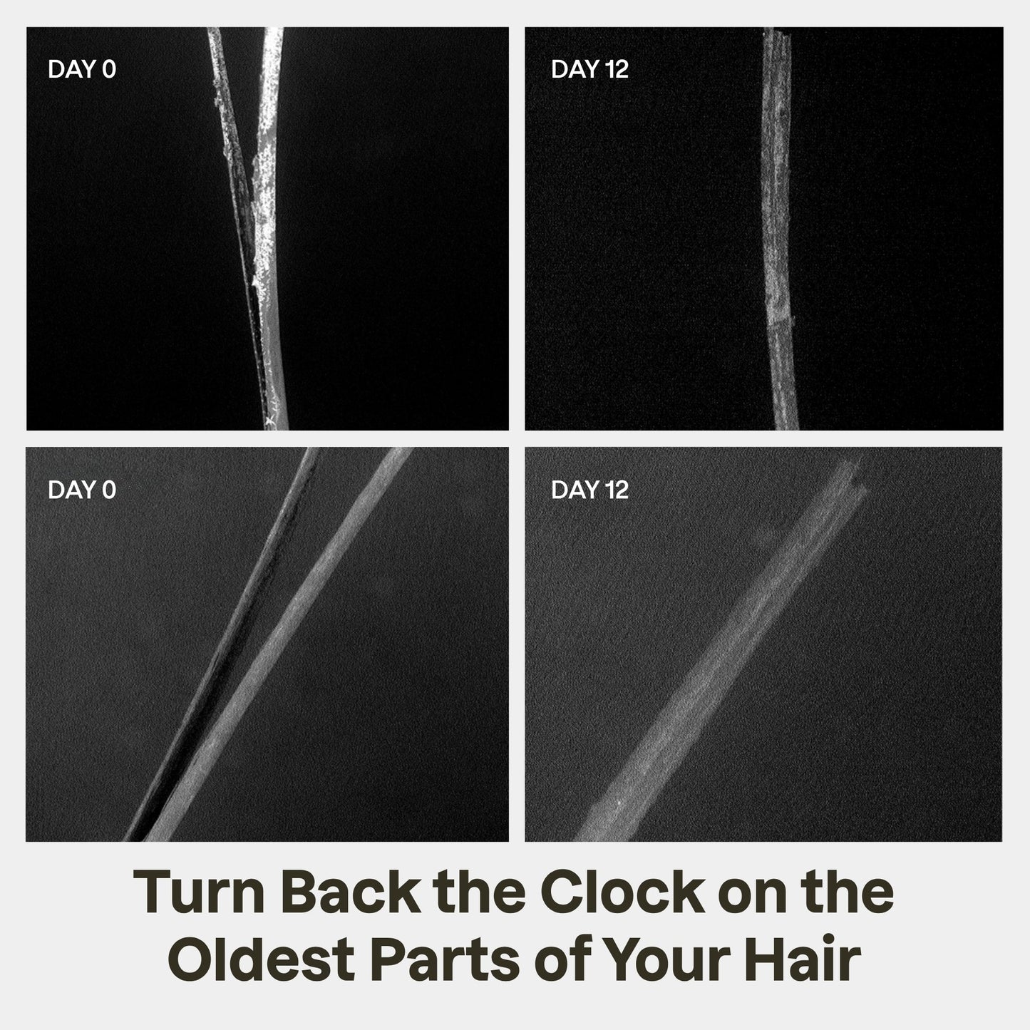 Split End Mender