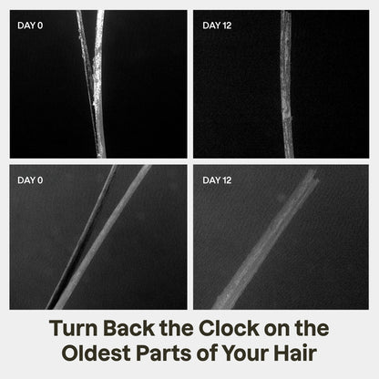 Split End Mender