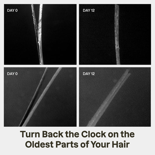 Split End Mender