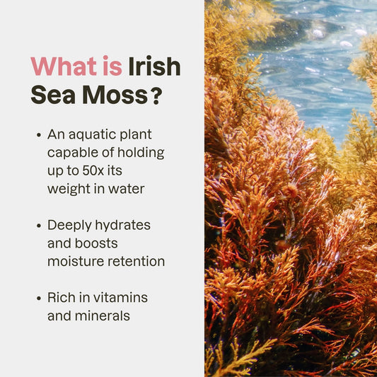 Irish Sea Moss Gel