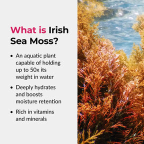 Irish sea moss with text explaining its properties
