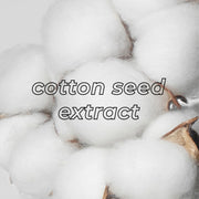 COTTON SEED