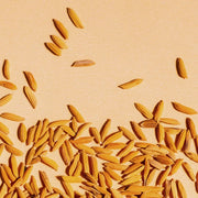 RICE BRAN OIL