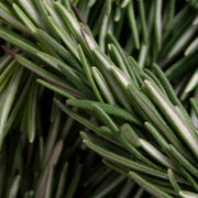 ROSEMARY OIL