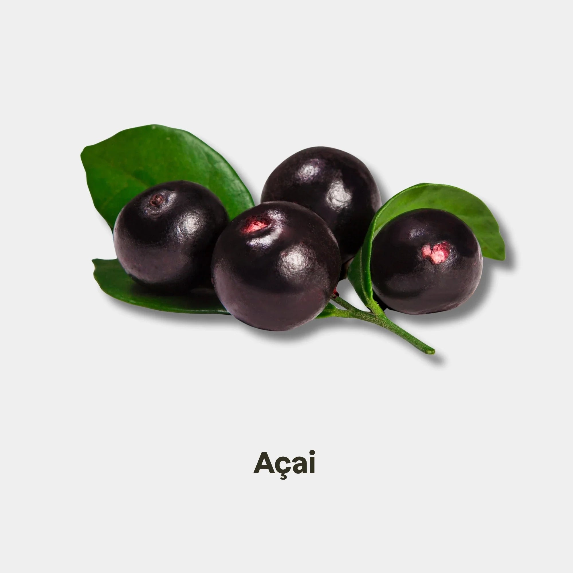 acai.webp