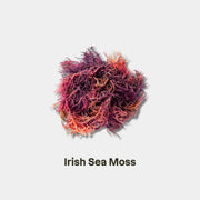 IRISH SEA MOSS