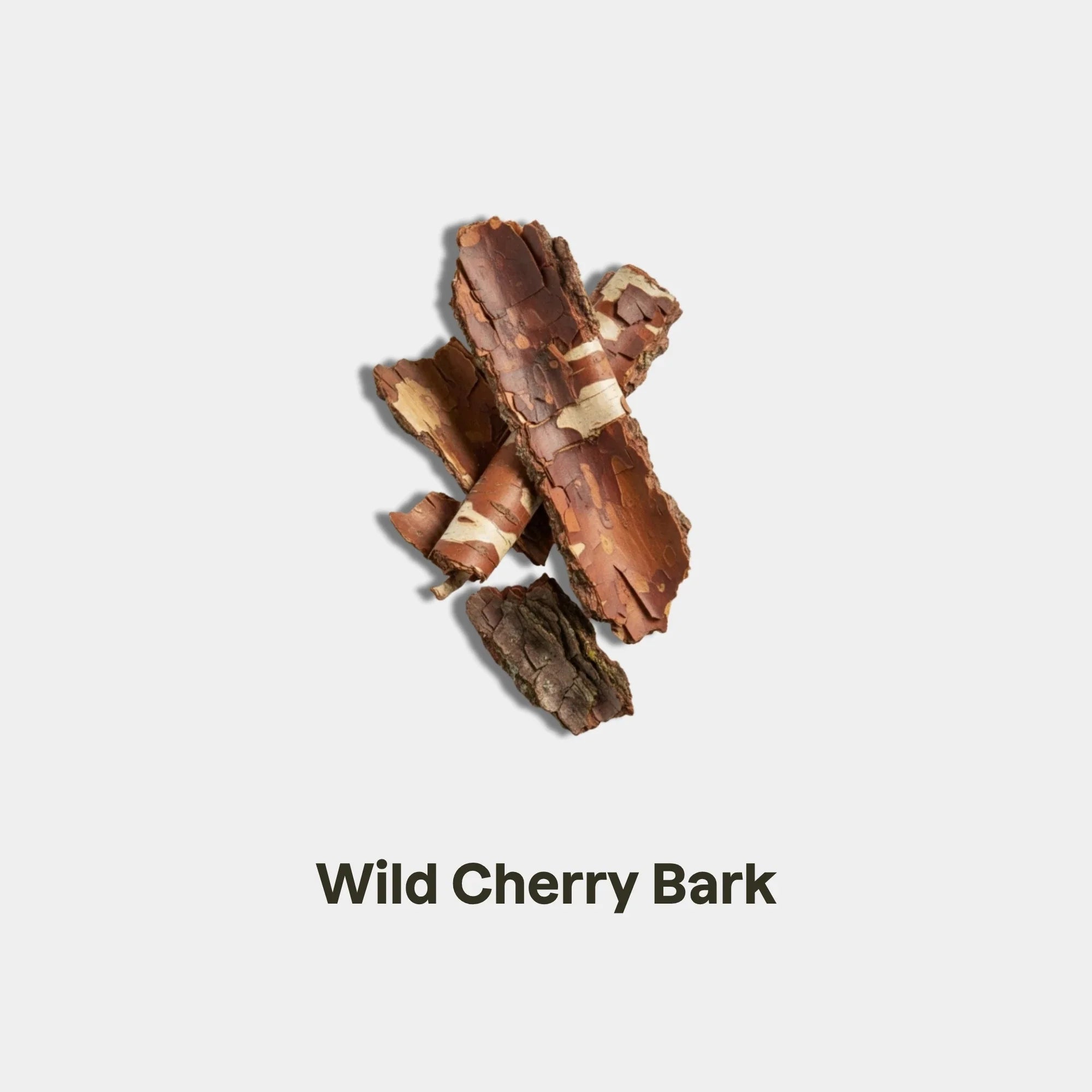 wild-cherry-bark.webp